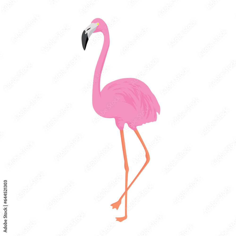 flat flamingo cartoon design. exotic summer animal sign and symbol.