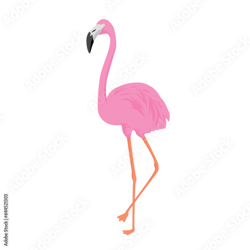 flat flamingo cartoon design. exotic summer animal sign and symbol.