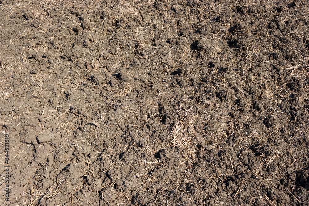 Soil texture, woodland, natural background. Flat lay texture Soil texture, woodland, natural background. Flat lay texture