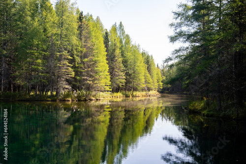 Reflection trees at Kitch-iti-kipi spring in Michigan s Upper Peninsula
