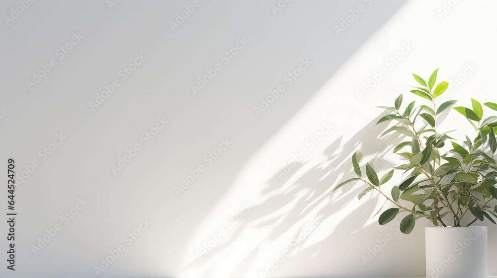 A Minimalistic light Background with blurred foliage shadow on a white wall. Beautiful background for presentation with with smooth floor. A Minimalistic light Background with blurred foliage shadow on a white wall. Beautiful background for presentation with with smooth floor.
