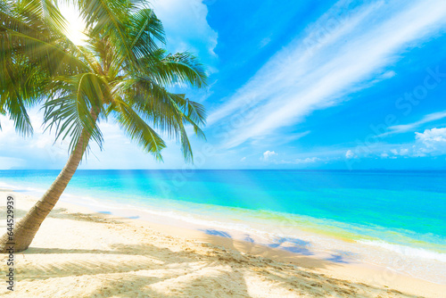A beautiful beach on a tropical Island. © Marc Stephan