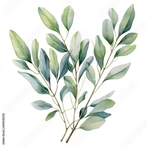 Watercolor eucalyptus branch. Floristic design elements. AI Generative 