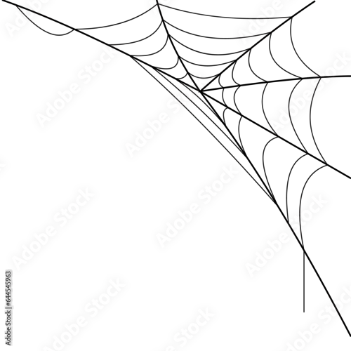 Obraz spider web cobweb corner design illustration for element background asset