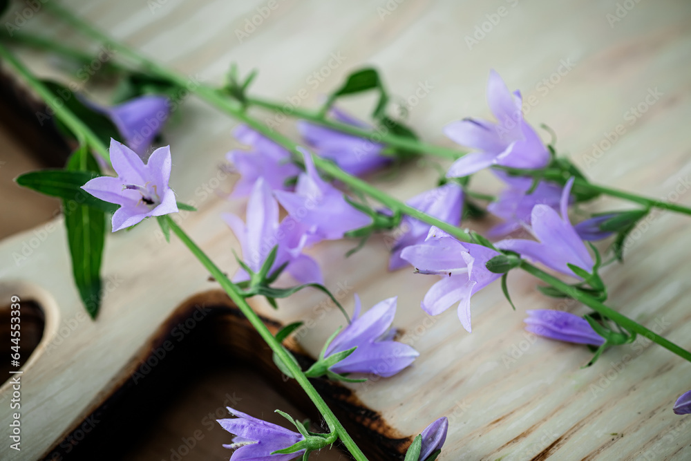 Campanula rotundifolia blossoms offer holistic healing, displayed on a charming wooden plate.