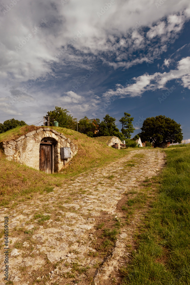 Obraz premium Wine cellar (Tufove pivnice), Velka Trna, Kosice country, Zemplin region, Slovakia