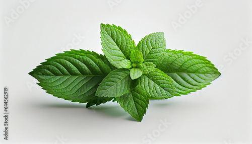 Fresh mint leaves isolated on white background, Ai generated image