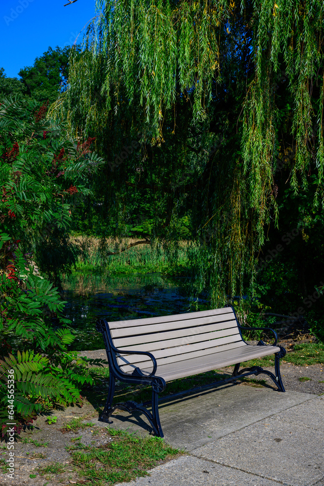 Summer landscape at York Pond at Roxena View Point with an empty wooden bench, weeping willow tree with hanging branches, and green foliage in Providence, Rhode Island, USA