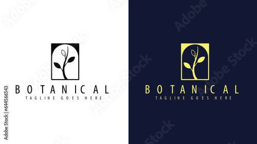 Luxury nature floral botanical frame in decorative style. botanical logo design with luxury colors