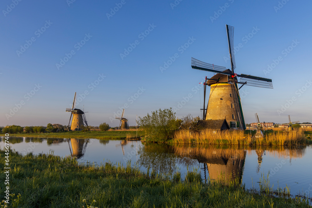 Naklejka premium Traditional Dutch windmills in Kinderdijk - Unesco site, The Netherlands