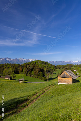 Typical wooden log cabins in Gorjuse, Triglavski national park, Slovenia © Richard Semik