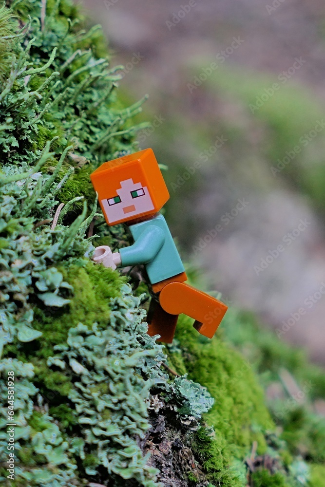Obraz premium LEGO Minecraft toy figure of main character Alex climbing on forest rock densely covered with moss and lichen.