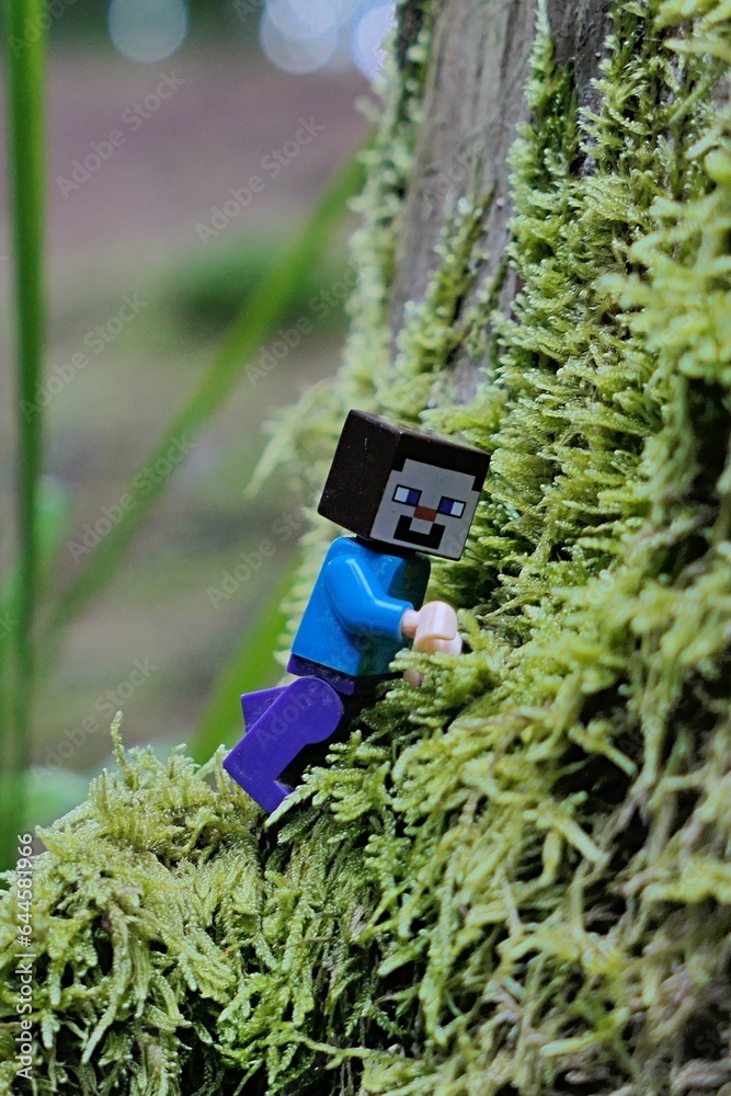 Obraz premium LEGO Minecraft figure of Steve climbing on tree trunk covered with dense moss foliage and some lichen.