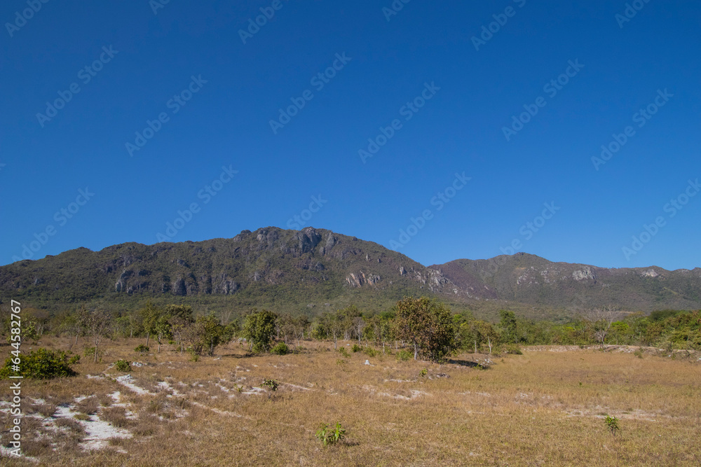 Beautiful Savannah Landscape in center of Brazil.