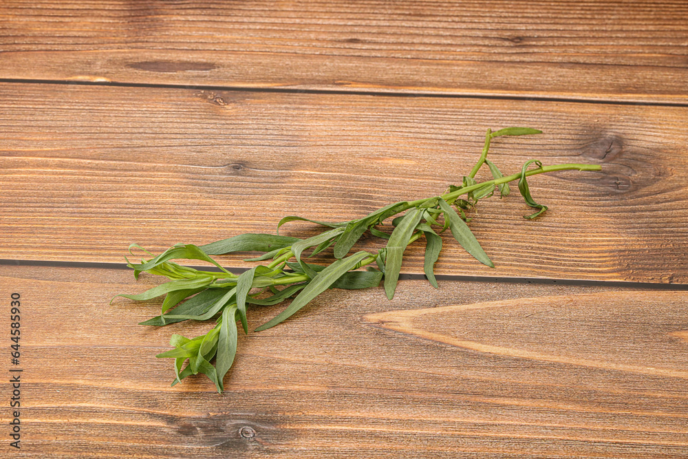 Green tarragon herb spice for cooking Green tarragon herb spice for cooking