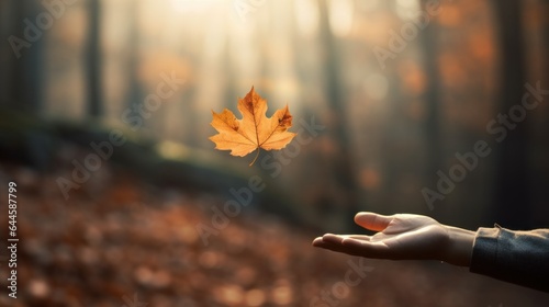 Autumn mental health. Embracing Change: person releasing Autumn falling leaf into the wind, signifying letting go and embracing transitions