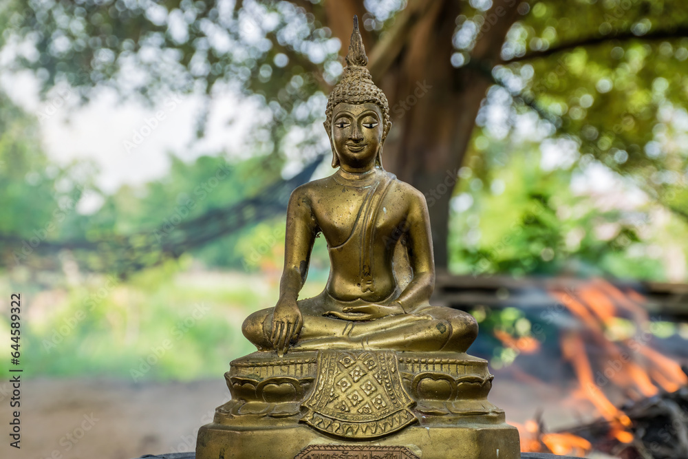 Buddha statue in nature background,beautiful gold color buddha statue,Buddha statue in nature sunset blurred background