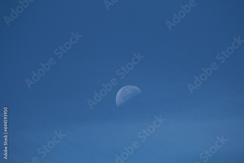 moon in the sky