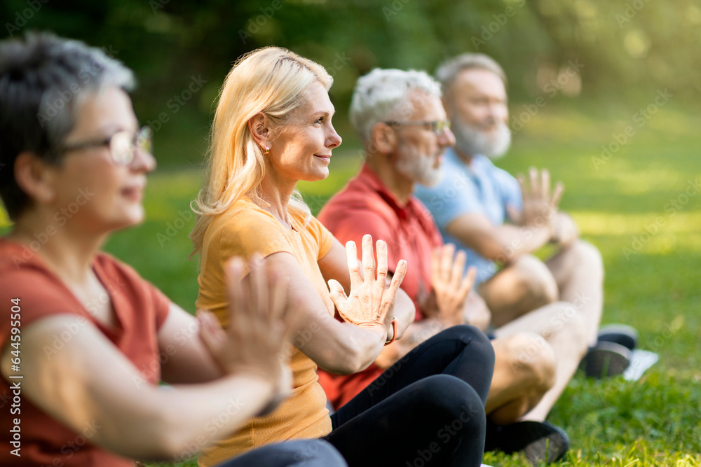 Meditation Session. Group Of Sporty Senior People Practicing Yoga Together In Park