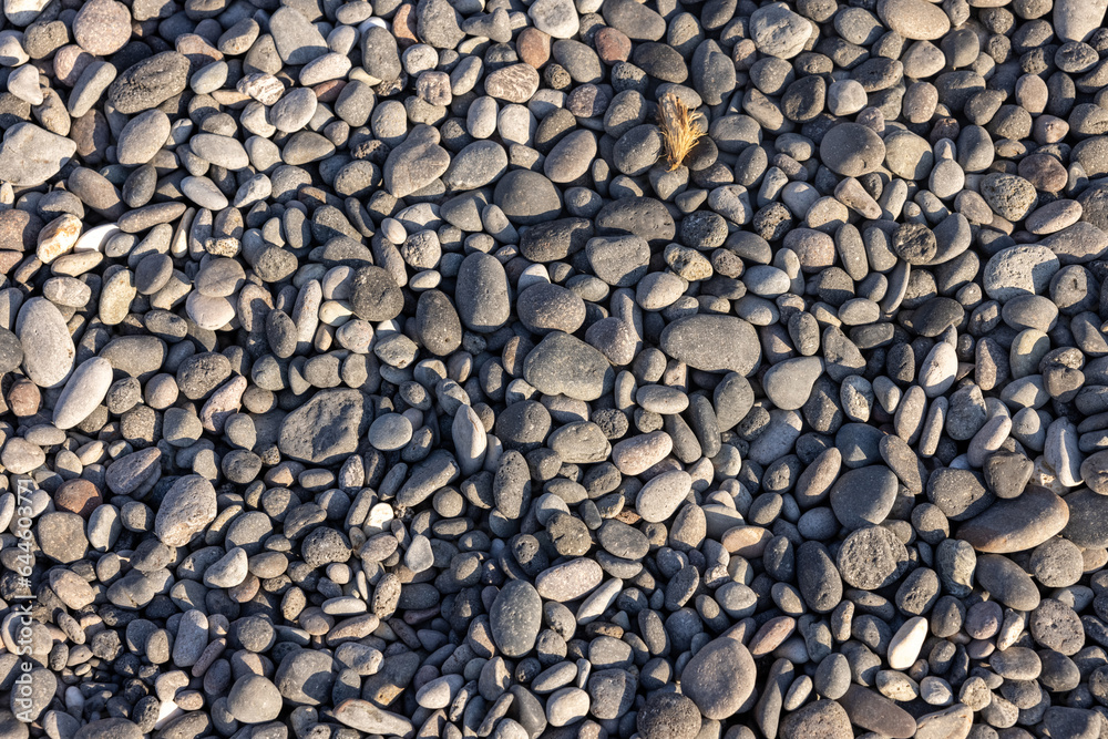 Background of sea stones. Close-up of stones of different shapes and sizes on the beach Background of sea stones. Close-up of stones of different shapes and sizes on the beach