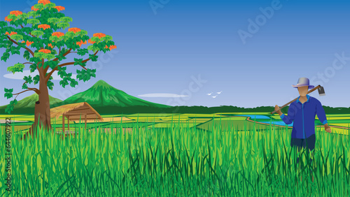 agriculturist work at paddy field vector design