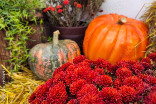 Autimn decorations with pumpkins and flowers near the restaunant