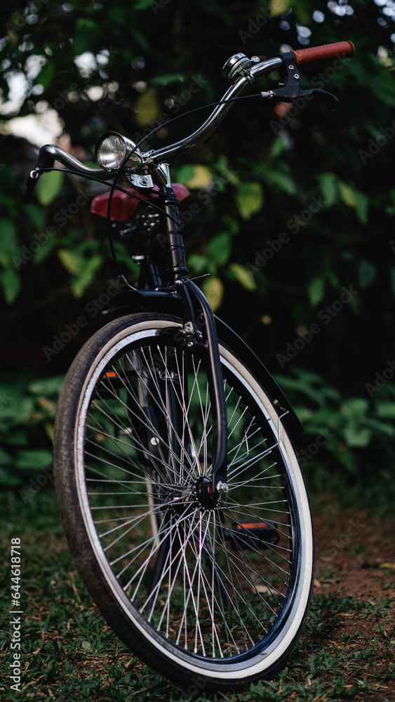 vintage bicycle in the park