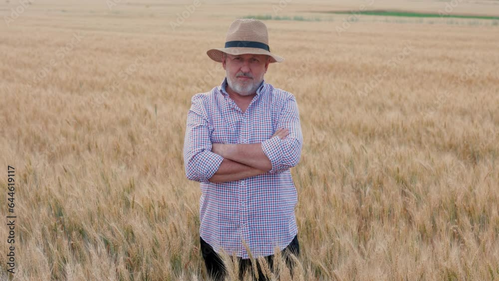 A captivating image of a satisfied businessman in a cowboy hat, standing in a cultivated wheat plantation during a picturesque sunset, symbolizing the successful combination of business acumen and A captivating image of a satisfied businessman in a cowboy hat, standing in a cultivated wheat plantation during a picturesque sunset, symbolizing the successful combination of business acumen and