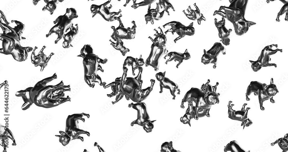 Silver French Bulldogs falling slow motion Silver French Bulldogs falling slow motion
