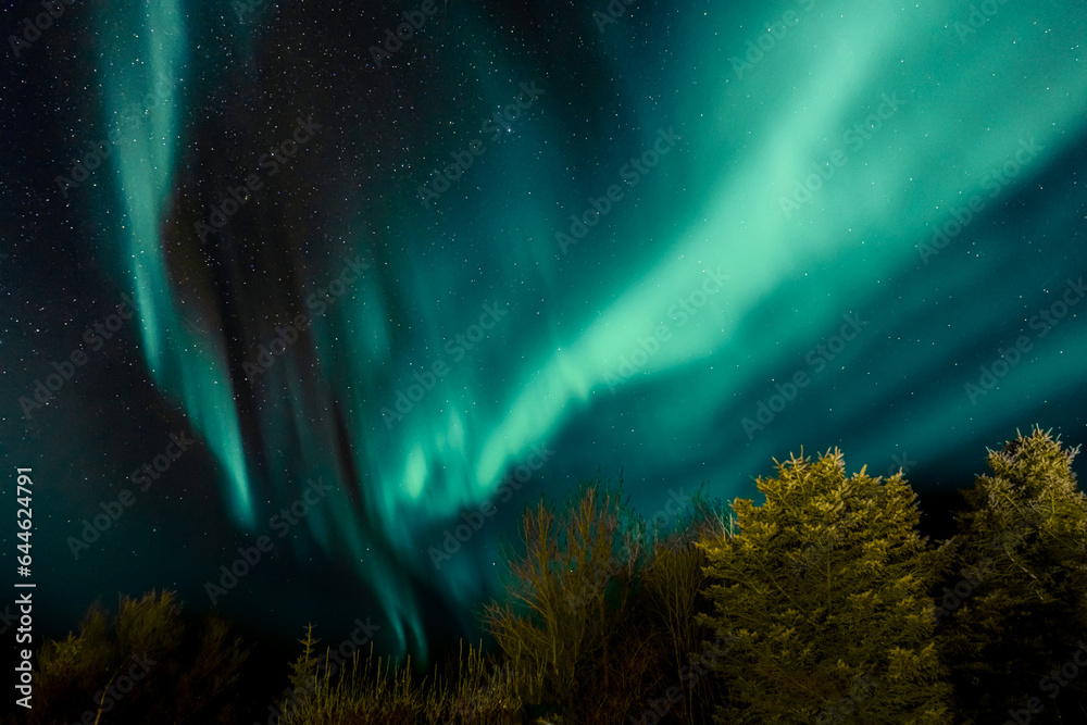 Stunning turquoise aurora borealis with purple nuances in the starry sky, northern lights in Iceland Stunning turquoise aurora borealis with purple nuances in the starry sky, northern lights in Iceland