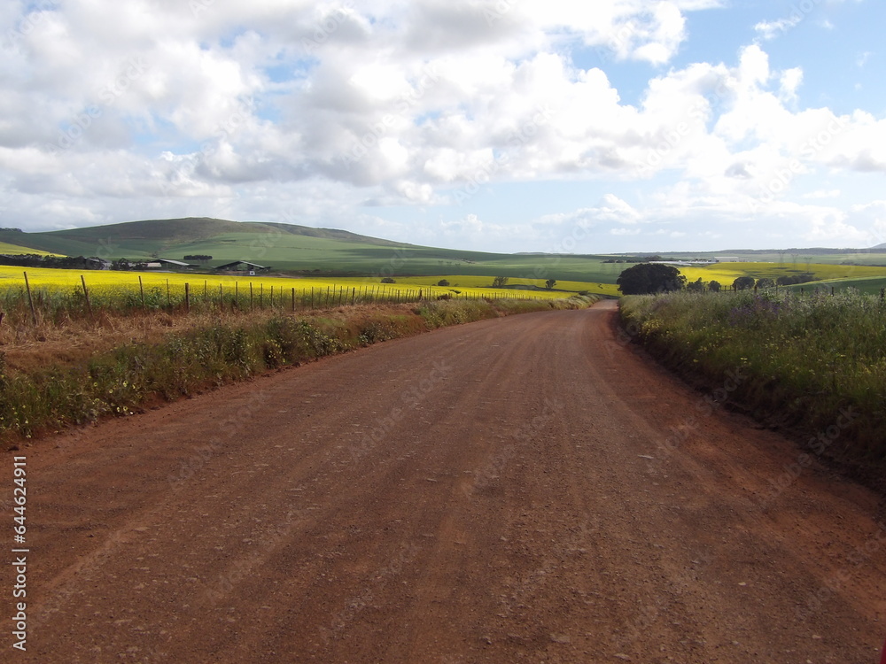 Naklejka premium Road in the field