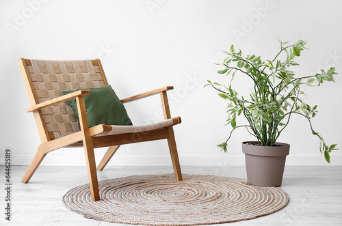 Interior of living room with wooden chair and plant