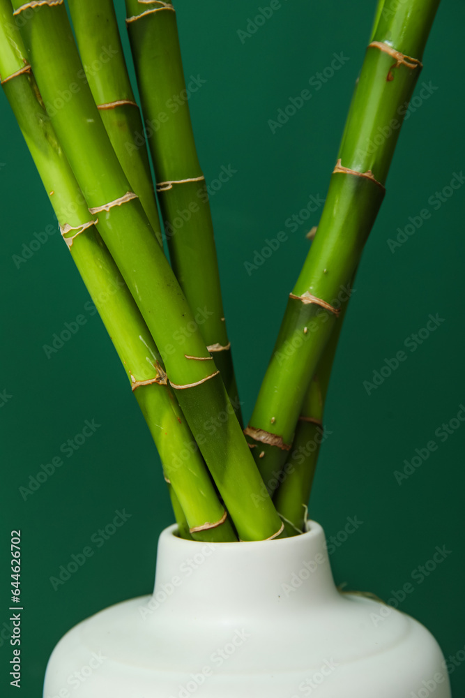 Fototapeta premium Vase with bamboo stems on color background, closeup