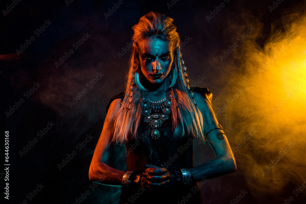 Portrait of fearless savage viking girl make up jewelry yellow blue lights foggy mist isolated on black background Portrait of fearless savage viking girl make up jewelry yellow blue lights foggy mist isolated on black background