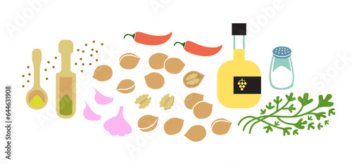 Fresh ingredients for walnut sause. Flat vector illustration isolated on white background.