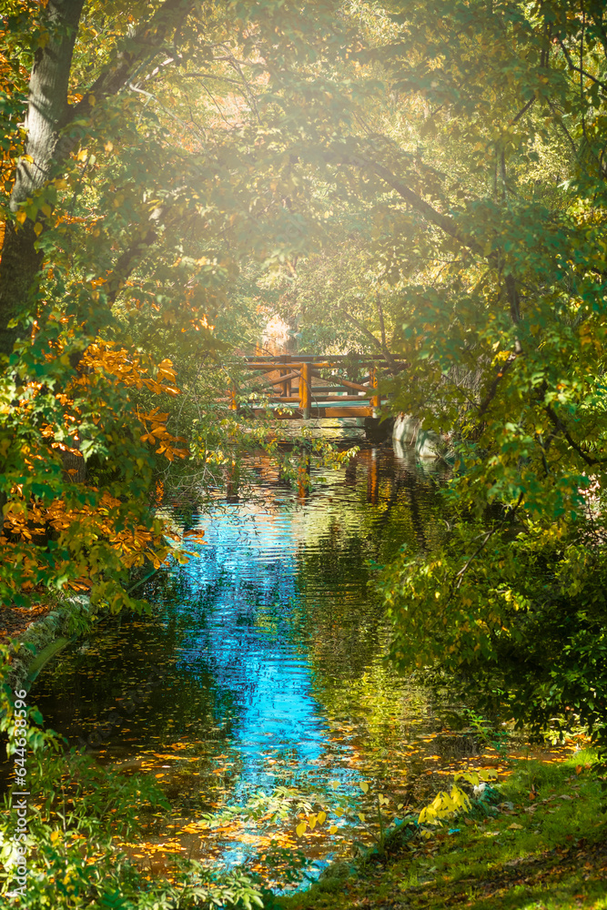 Autumn scene with bright light and natural surroundings in the Retiro park in Madrid, Spain. Autumn scene with bright light and natural surroundings in the Retiro park in Madrid, Spain.