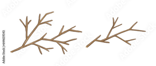 Tree branches Illustration hand drawn with colored pencils Isolated design element