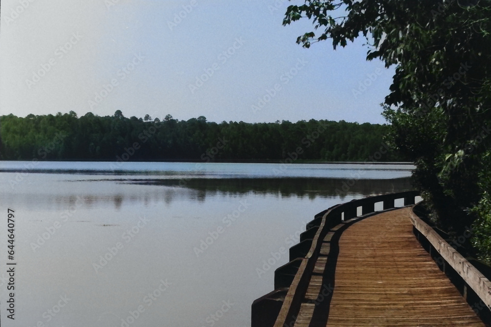 Fototapeta premium wooden bridge over lake