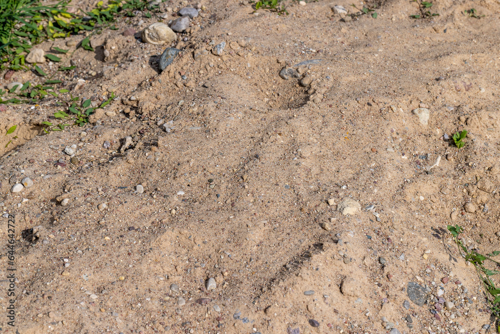River sand which is used in construction works River sand which is used in construction works