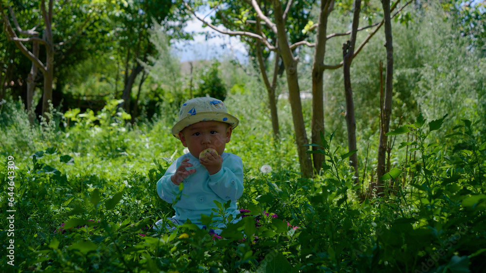 Cute baby sitting on a grass holding an apple in his hands