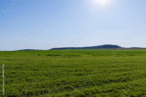 field with grass for harvesting fodder for cows © rsooll
