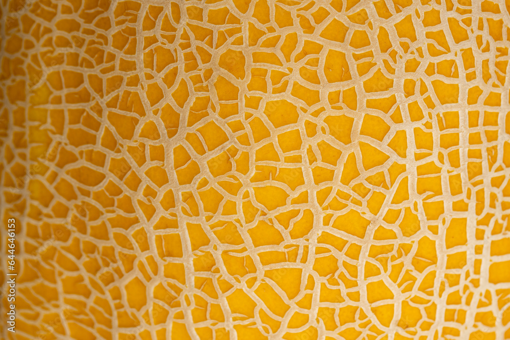 part of the ripe and sweet peel of orange melon