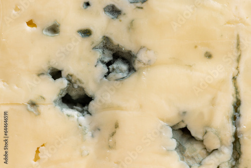 Blue mold cheese cut into pieces