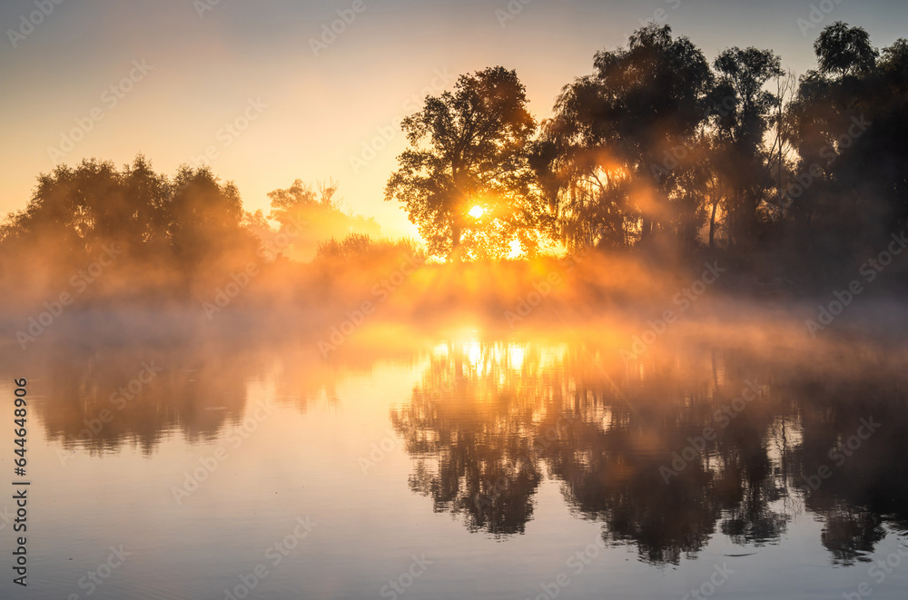 Misty sunrise over calm lake - obrazy, fototapety, plakaty 
