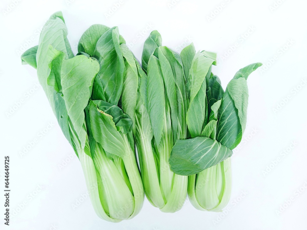 fresh green vegetables. Pakcoy or Bok choy or spoon mustard greens (Brassica rapa subsp. chinensis). Popular green vegetables on white background. fresh green vegetables. Pakcoy or Bok choy or spoon mustard greens (Brassica rapa subsp. chinensis). Popular green vegetables on white background.