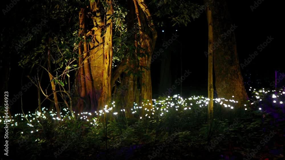 Bioluminescent plants swaying and glowing in the dark night in dreamy mesmerizing mysterious avatar-like illuminated mythical otherworldly fairy forest world landscape of Dream Forest Langkawi. Loop