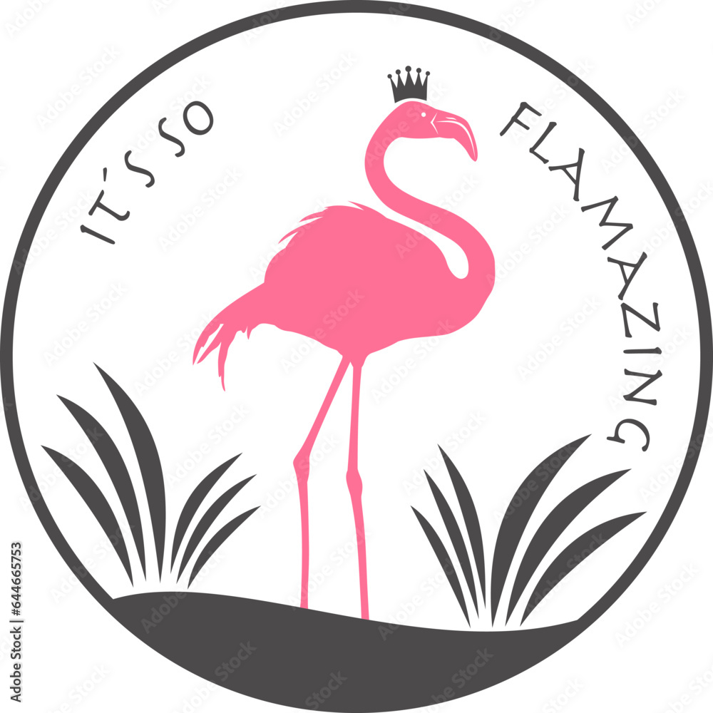 Fototapeta premium Flamingo mit transparentem Hintergrund 