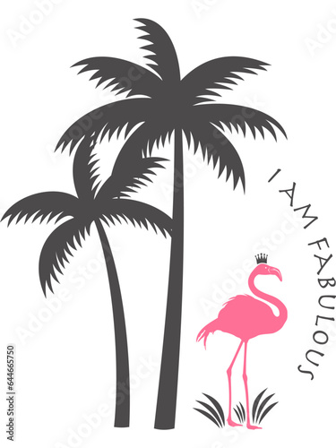 Flamingo mit transparentem Hintergrund 