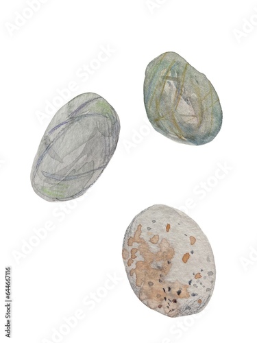 set of hand drawn watercolor illustrations with colorful sea stones