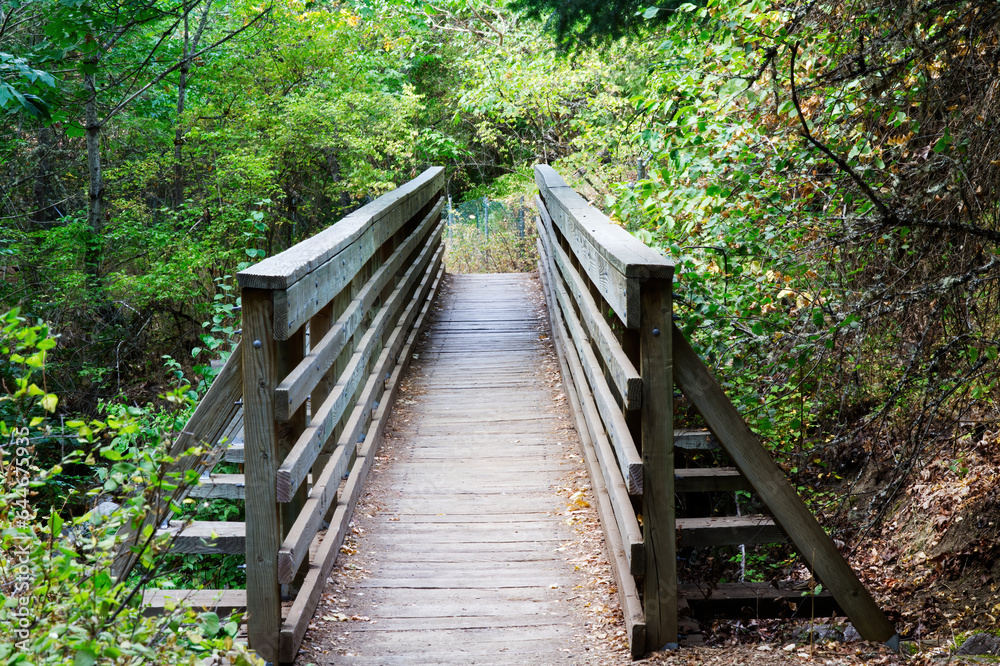 Wooden Bridge Surrounded By Green Plants On Footpath Wooden Bridge Surrounded By Green Plants On Footpath